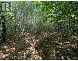 Wood Lot Green Road, Elgin, New Brunswick