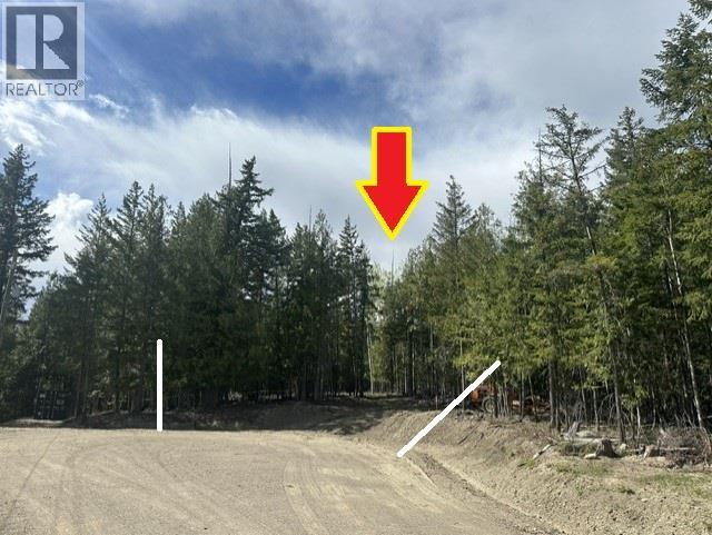 2305 Lions Ridge Road Lot# Sl 10, Celista, British Columbia  V1Y 5J4 - Photo 27 - 10385115