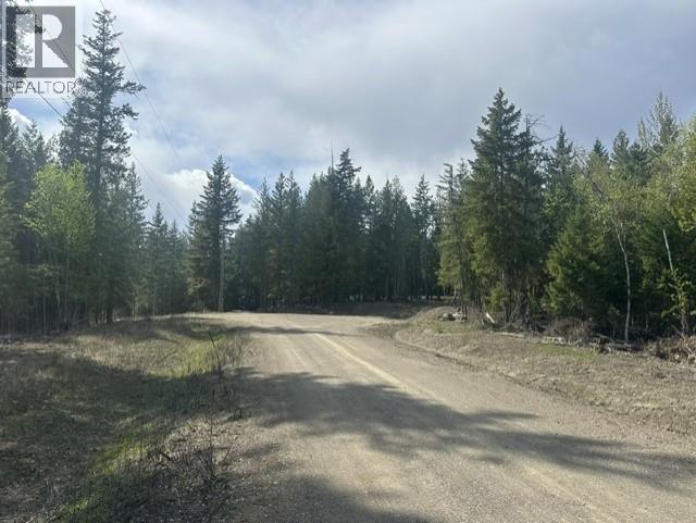 2305 Lions Ridge Road Lot# Sl 10, Celista, British Columbia  V1Y 5J4 - Photo 26 - 10385115