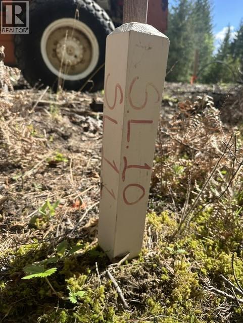 2305 Lions Ridge Road Lot# Sl 10, Celista, British Columbia  V1Y 5J4 - Photo 19 - 10385115
