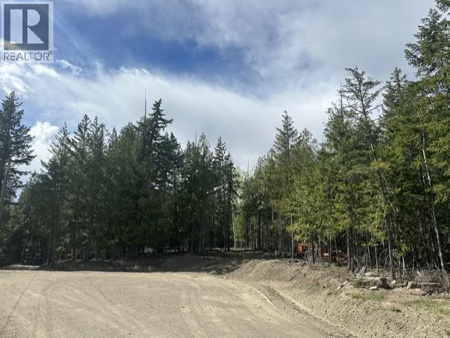 2305 Lions Ridge Road Lot# Sl 10, Celista, British Columbia  V1Y 5J4 - Photo 22 - 10385115