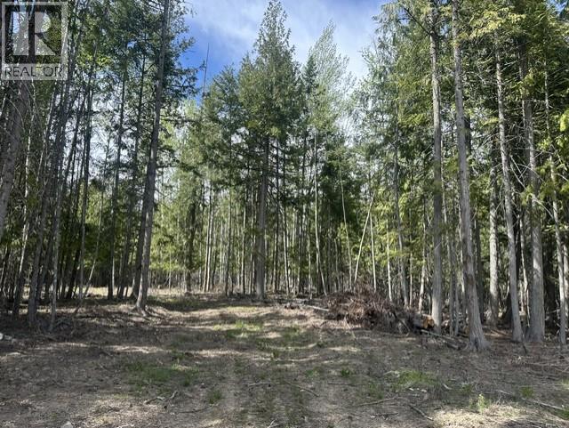 2305 Lions Ridge Road Lot# Sl 10, Celista, British Columbia  V1Y 5J4 - Photo 24 - 10385115