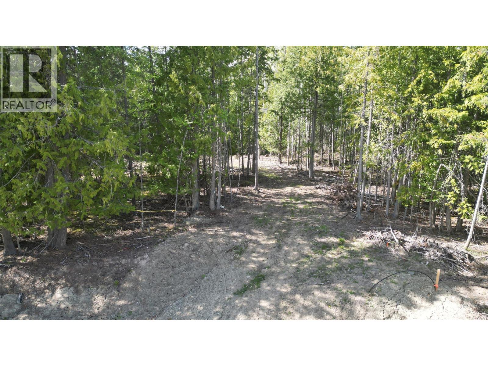 2305 Lions Ridge Road Lot# Sl 10, Celista, British Columbia  V1Y 5J4 - Photo 16 - 10385115