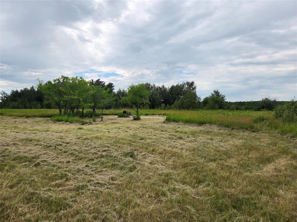 44092 Road 36n Road, La Broquerie, Manitoba  R0A 0W0 - Photo 2 - 202619731