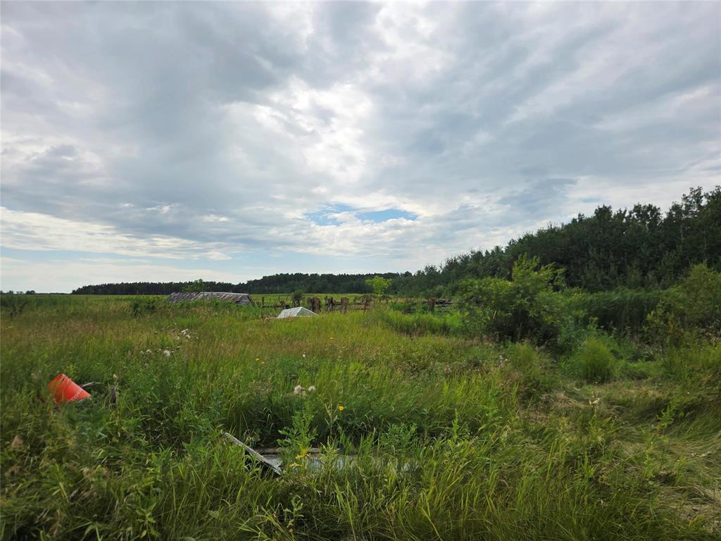 44092 Road 36n Road, La Broquerie, Manitoba  R0A 0W0 - Photo 3 - 202619731