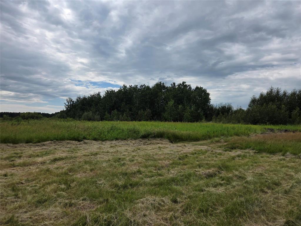 44092 Road 36n Road, La Broquerie, Manitoba  R0A 0W0 - Photo 7 - 202619731