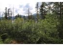 Lot B Highway 23, Nakusp, BC V0G 1R1