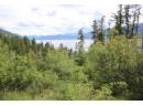 Lot B Highway 23, Nakusp, BC V0G 1R1