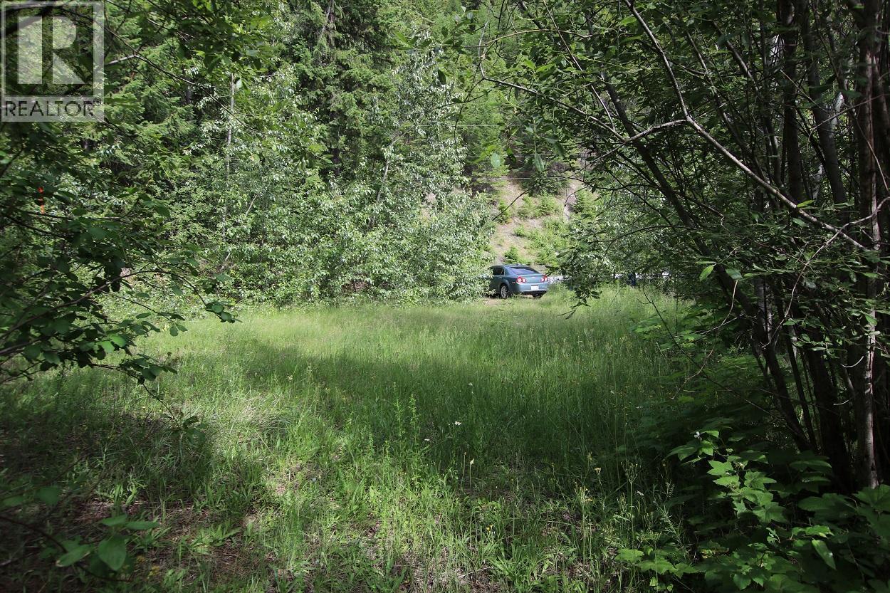 Lot B Highway 23, Nakusp, British Columbia  V0G 1R1 - Photo 14 - 2471621