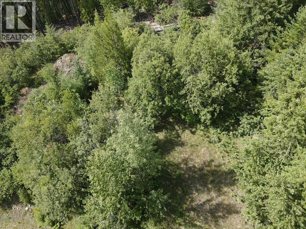 Lot B Highway 23, Nakusp, British Columbia  V0G 1R1 - Photo 9 - 2471621