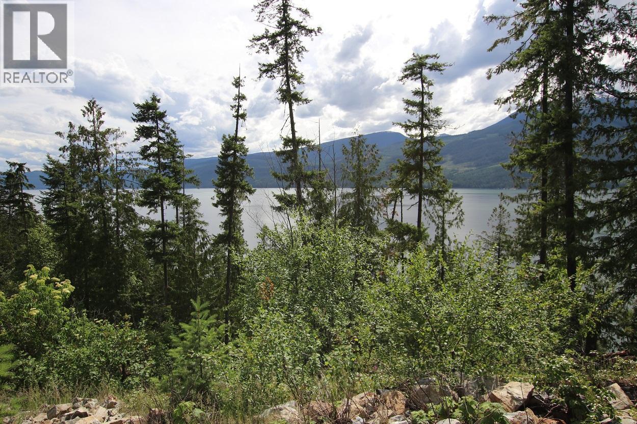 Lot B Highway 23, Nakusp, British Columbia  V0G 1R1 - Photo 12 - 2471621
