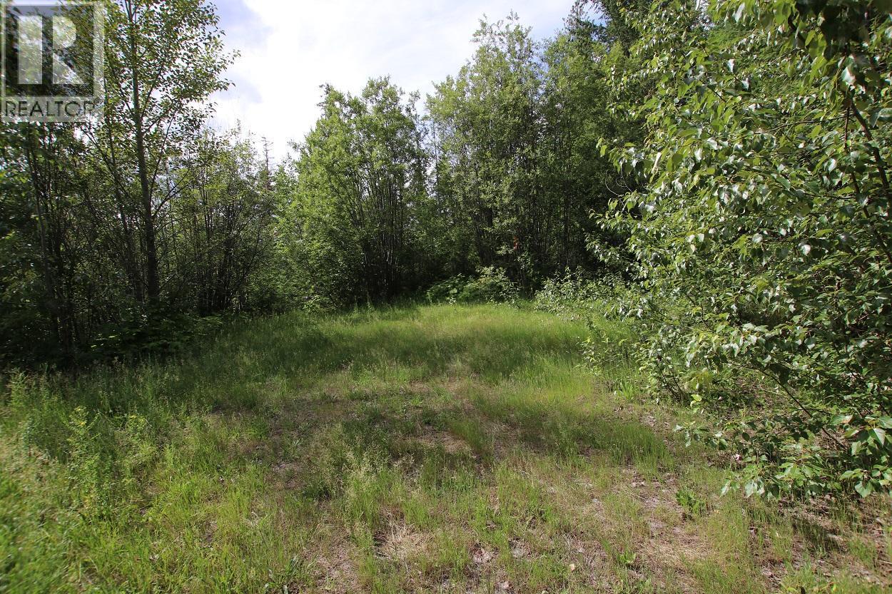 Lot B Highway 23, Nakusp, British Columbia  V0G 1R1 - Photo 13 - 2471621