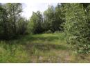 Lot B Highway 23, Nakusp, BC V0G 1R1