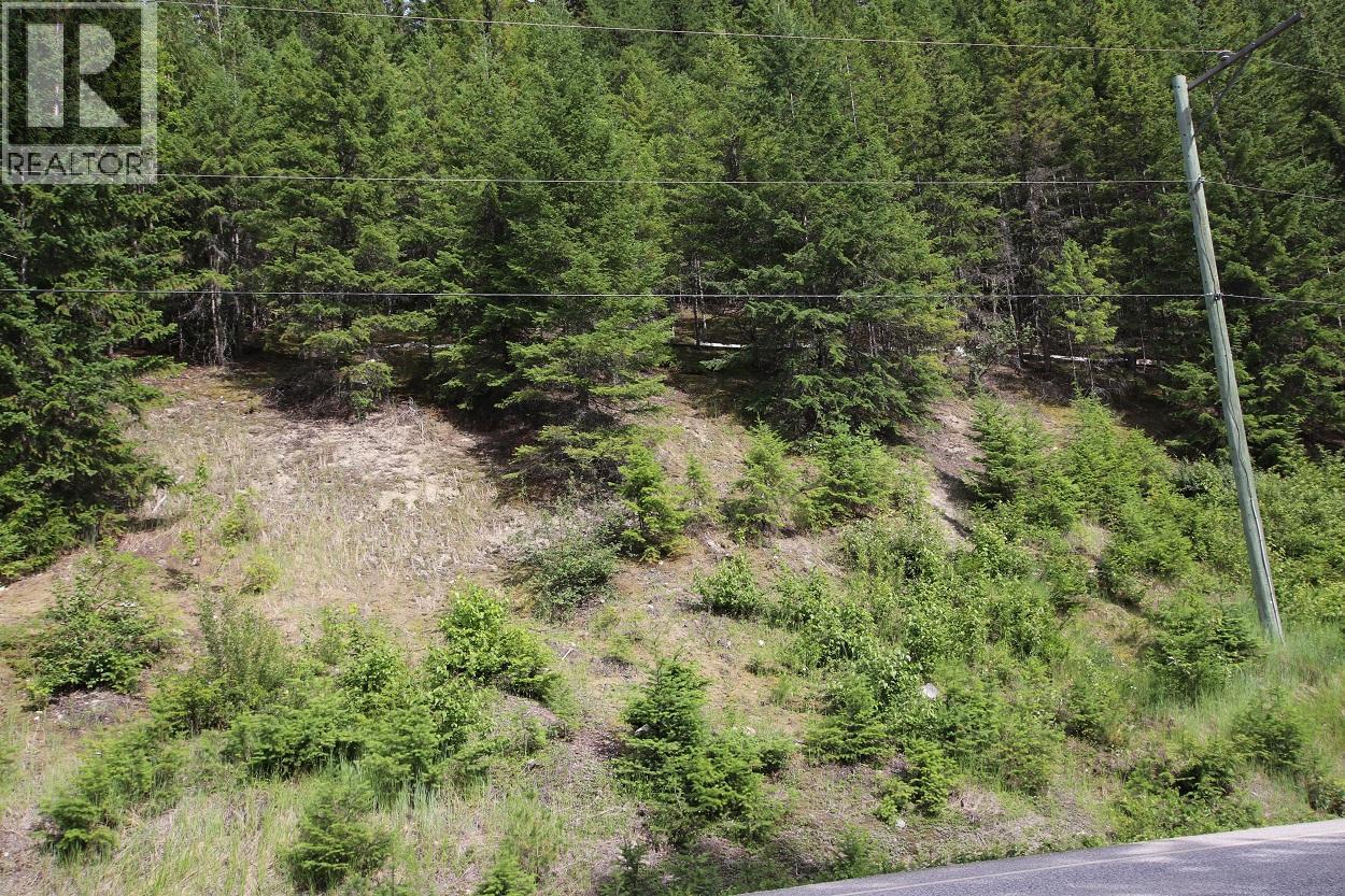 5959 Highway 23, Nakusp, British Columbia  V0G 1R1 - Photo 21 - 2471622