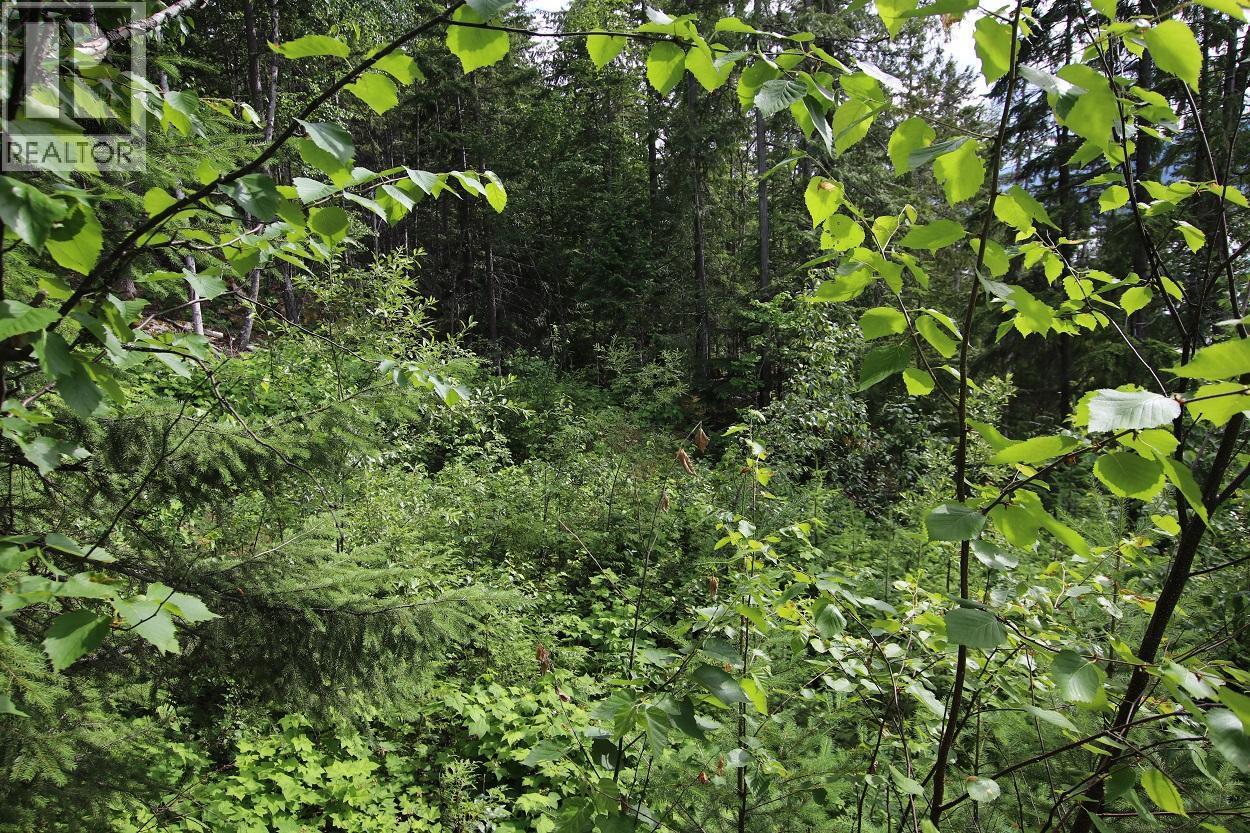 5959 Highway 23, Nakusp, British Columbia  V0G 1R1 - Photo 13 - 2471622