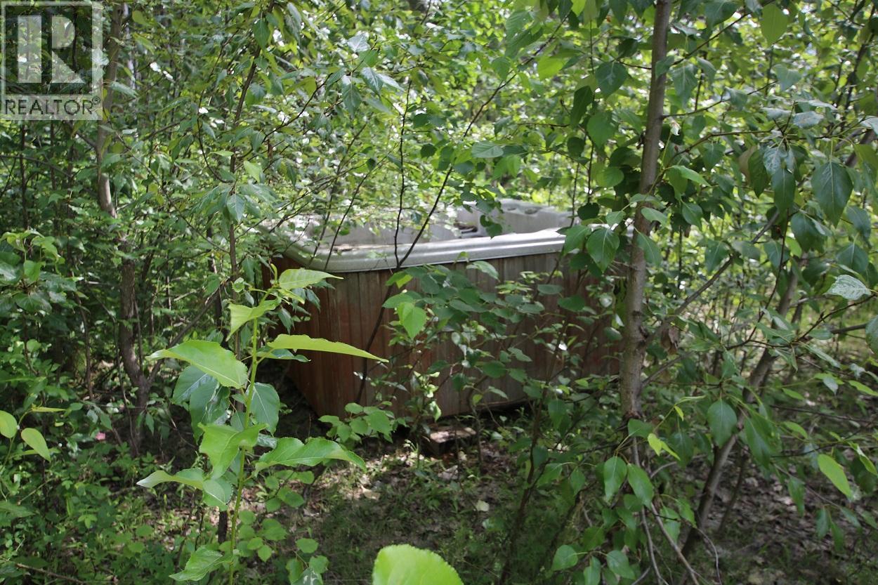 5959 Highway 23, Nakusp, British Columbia  V0G 1R1 - Photo 17 - 2471622
