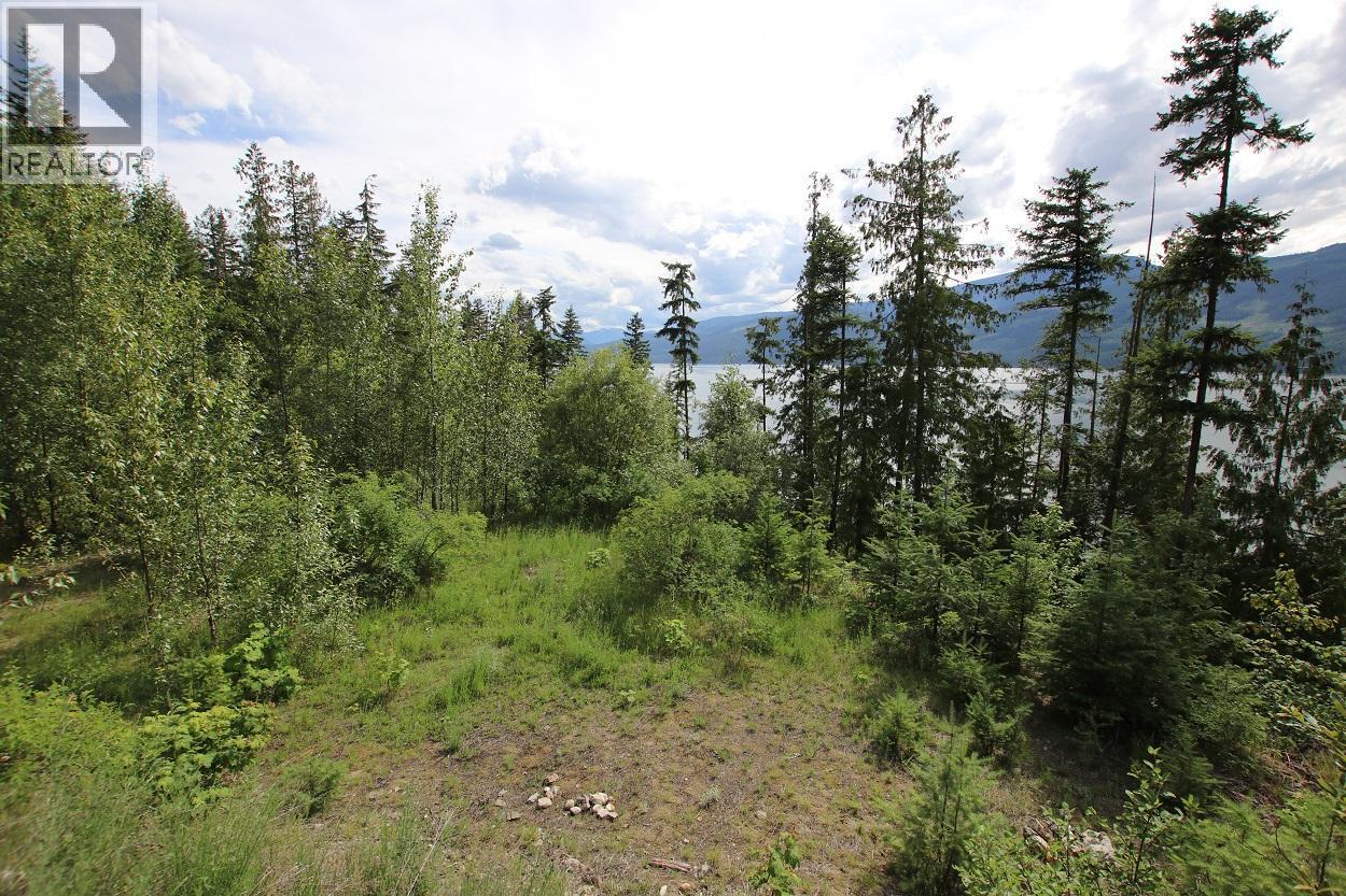 5959 Highway 23, Nakusp, British Columbia  V0G 1R1 - Photo 11 - 2471622
