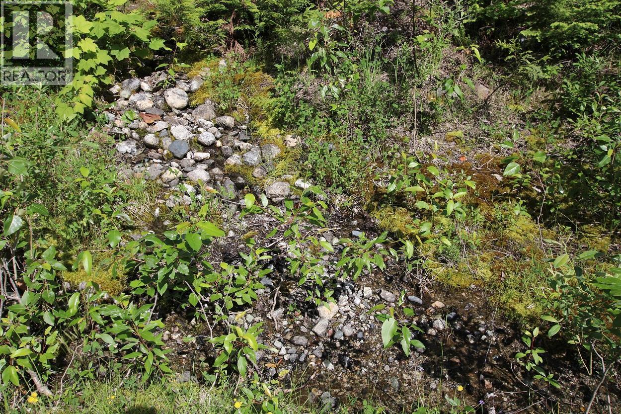 5959 Highway 23, Nakusp, British Columbia  V0G 1R1 - Photo 19 - 2471622