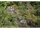 5959 Highway 23, Nakusp, BC V0G 1R1