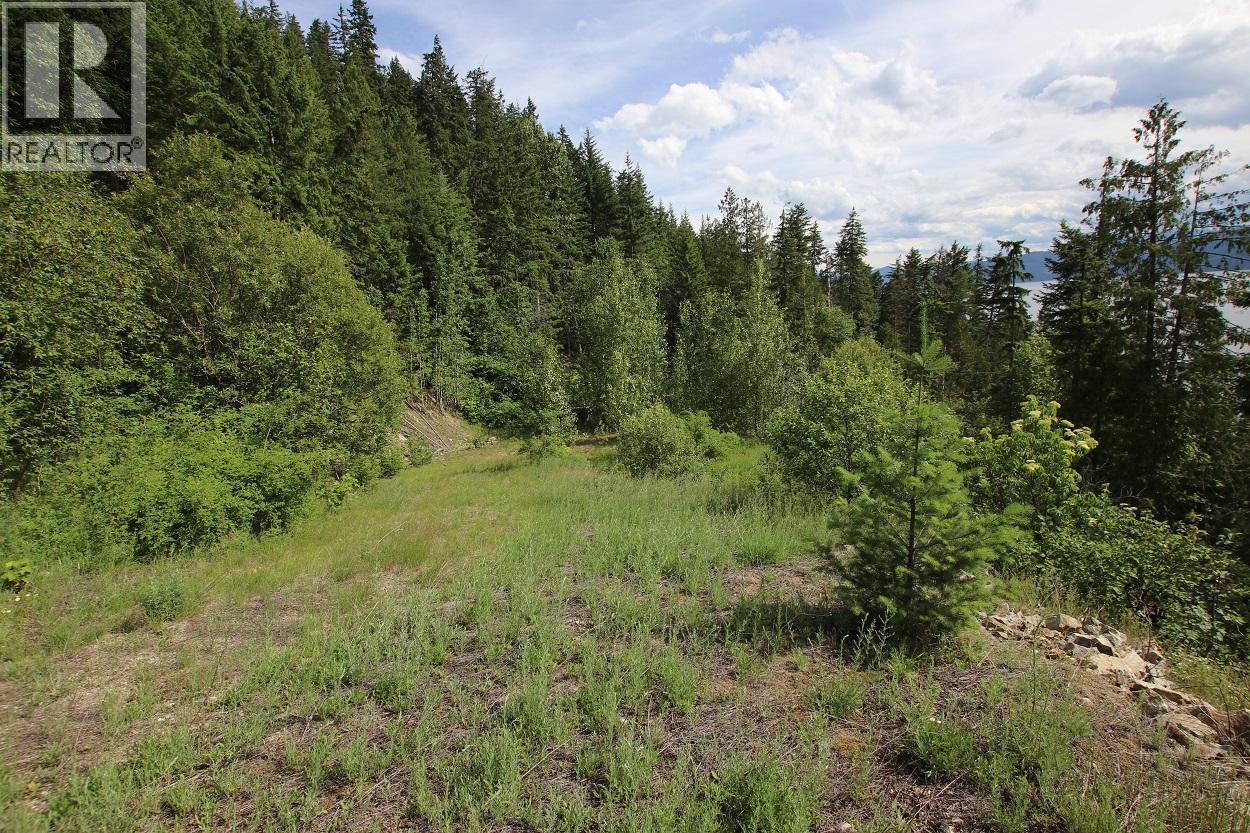 5959 Highway 23, Nakusp, British Columbia