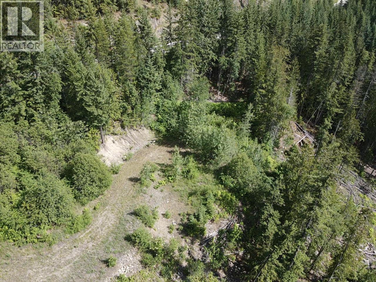 5959 Highway 23, Nakusp, British Columbia  V0G 1R1 - Photo 7 - 2471622