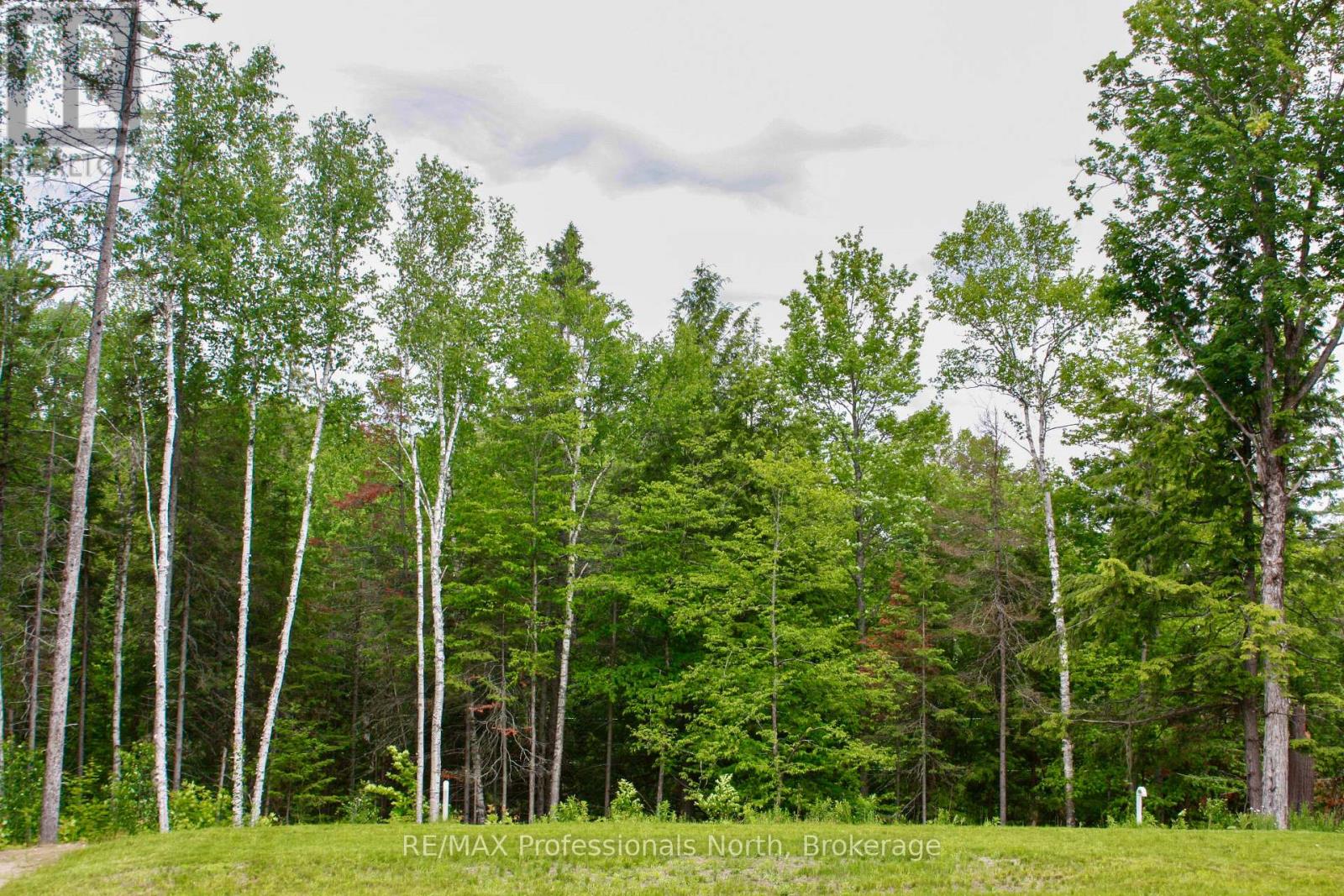 511 Brethour Road, Hastings Highlands, Ontario  K0L 1C0 - Photo 39 - X13650660
