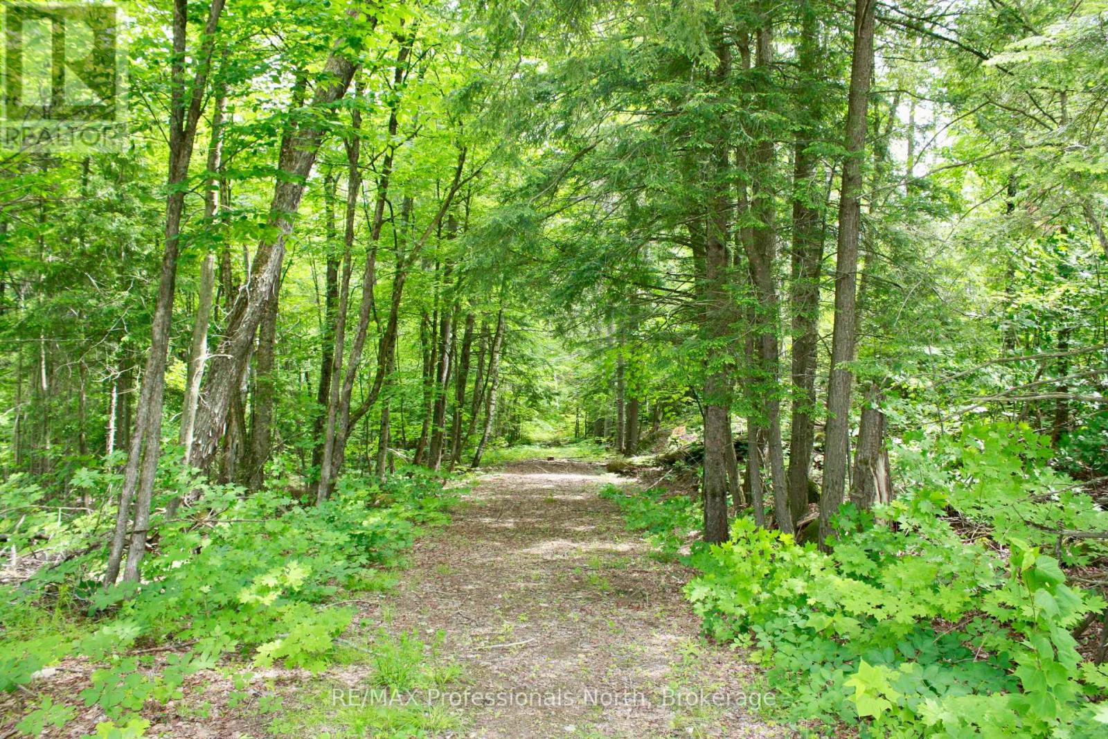 511 Brethour Road, Hastings Highlands, Ontario  K0L 1C0 - Photo 43 - X13650660
