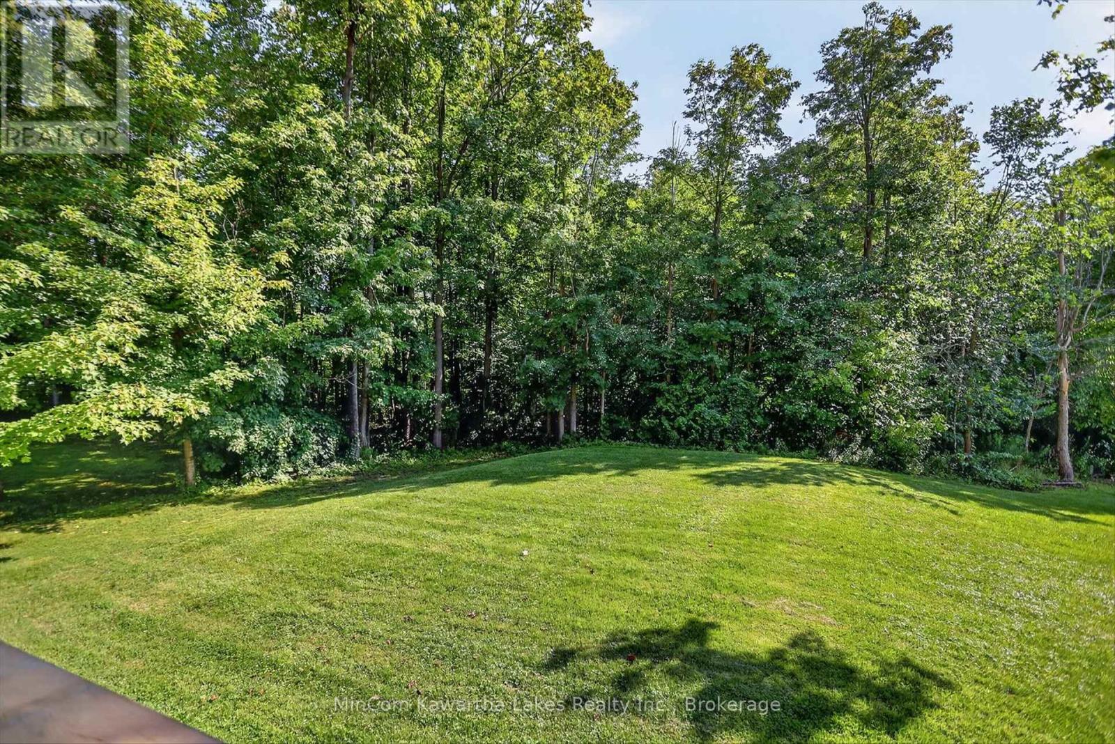 74 Orange Corners Road, Kawartha Lakes, Ontario  K0L 2W0 - Photo 50 - X13650876
