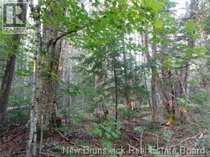Lot 2004-1 Charters Settlement Road, Charters Settlement, New Brunswick  E3C 1W7 - Photo 10 - NB145497