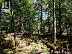 Lot 2004-1 Charters Settlement Road, Charters Settlement, New Brunswick  E3C 1W7 - Photo 7 - NB145497