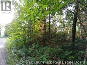 Lot 2004-1 Charters Settlement Road, Charters Settlement, New Brunswick  E3C 1W7 - Photo 9 - NB145497