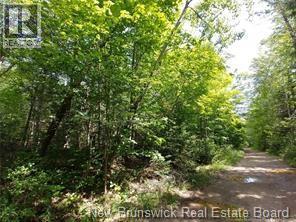 Lot 2004-1 Charters Settlement Road, Charters Settlement, New Brunswick  E3C 1W7 - Photo 11 - NB145497