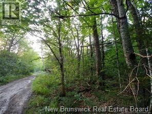 Lot 2004-1 Charters Settlement Road, Charters Settlement, New Brunswick  E3C 1W7 - Photo 3 - NB145497