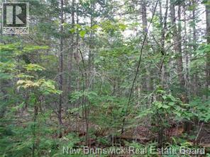 Lot 2004-1 Charters Settlement Road, Charters Settlement, New Brunswick  E3C 1W7 - Photo 6 - NB145497