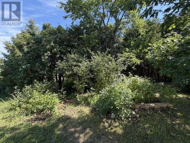 2 Queen Victoria St, Desbarats, Ontario P0R 1E0 - Photo 37 - SM262101