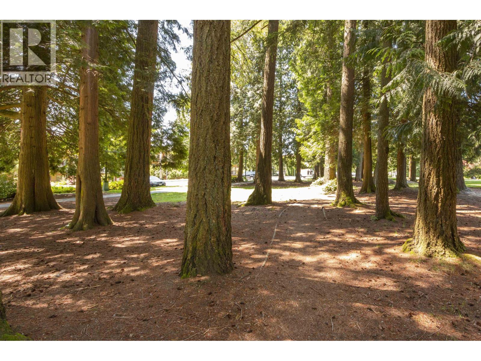 107 1000 King Albert Avenue, Coquitlam, British Columbia  V3J 7A3 - Photo 18 - R3153475