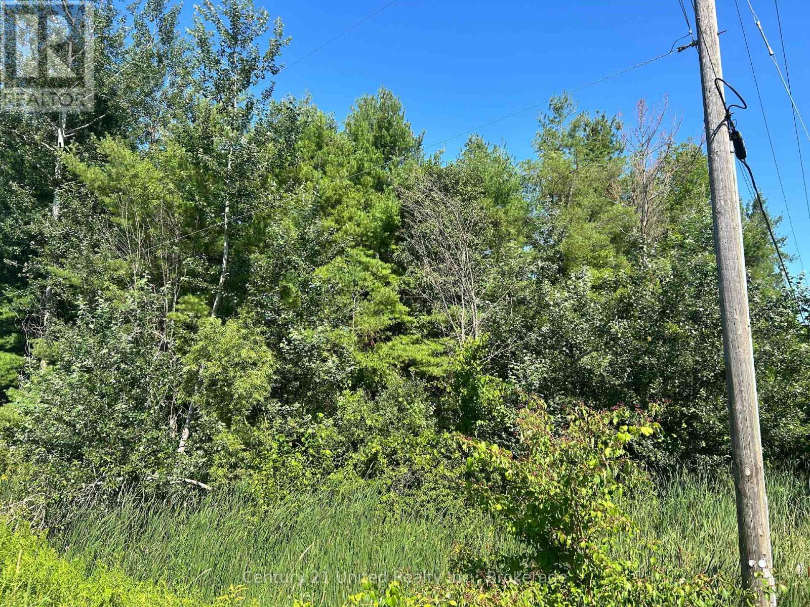 0 Concession Rd 4 W, Trent Hills, Ontario  K0K 3K0 - Photo 2 - X13651166