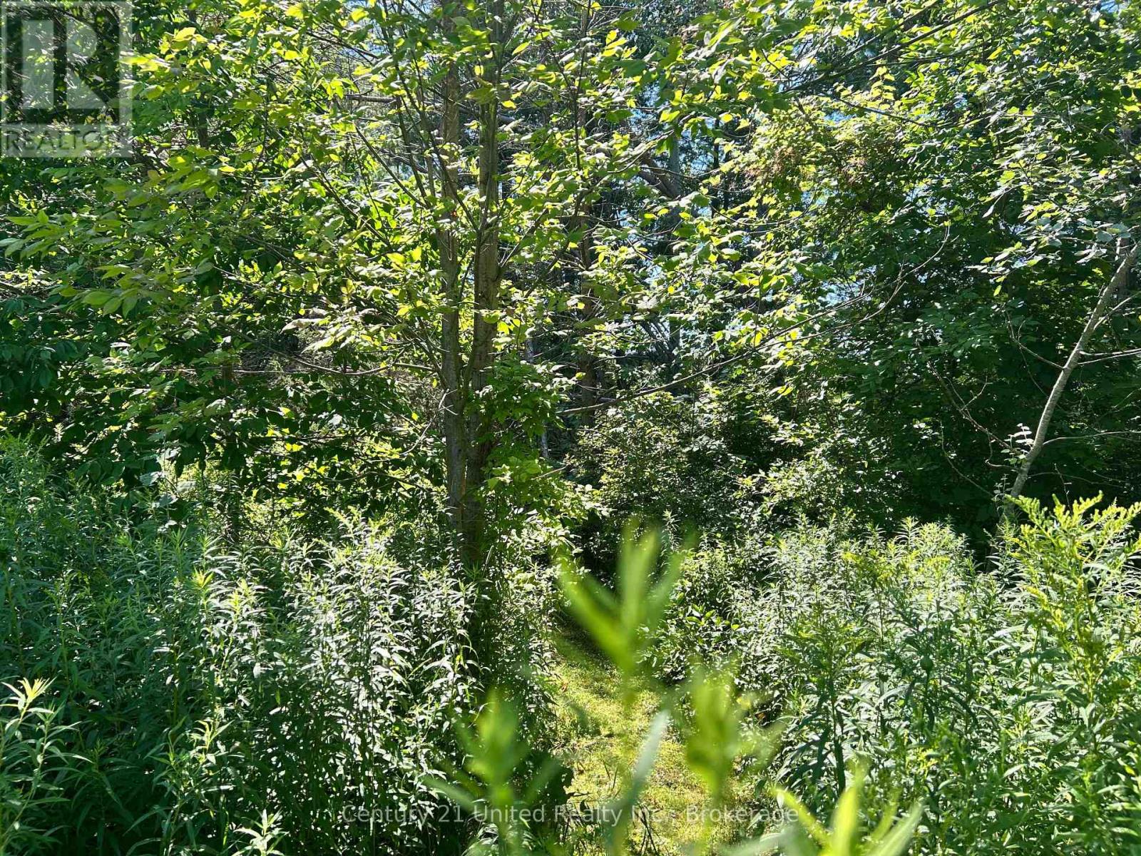 0 Concession Rd 4 W, Trent Hills, Ontario  K0K 3K0 - Photo 5 - X13651166