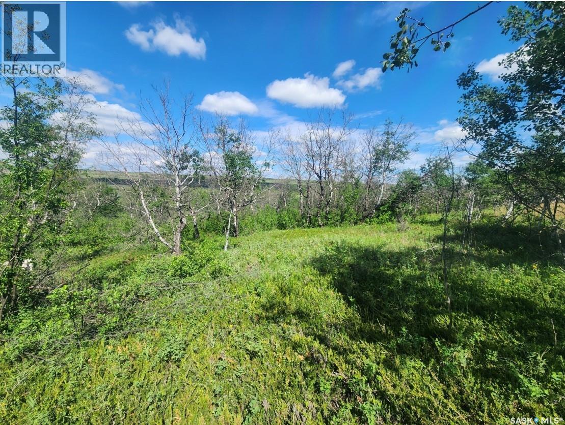 480 - 482 Saskatchewan Road, Laird Rm No. 404, Saskatchewan  S0K 2L0 - Photo 21 - SK038123
