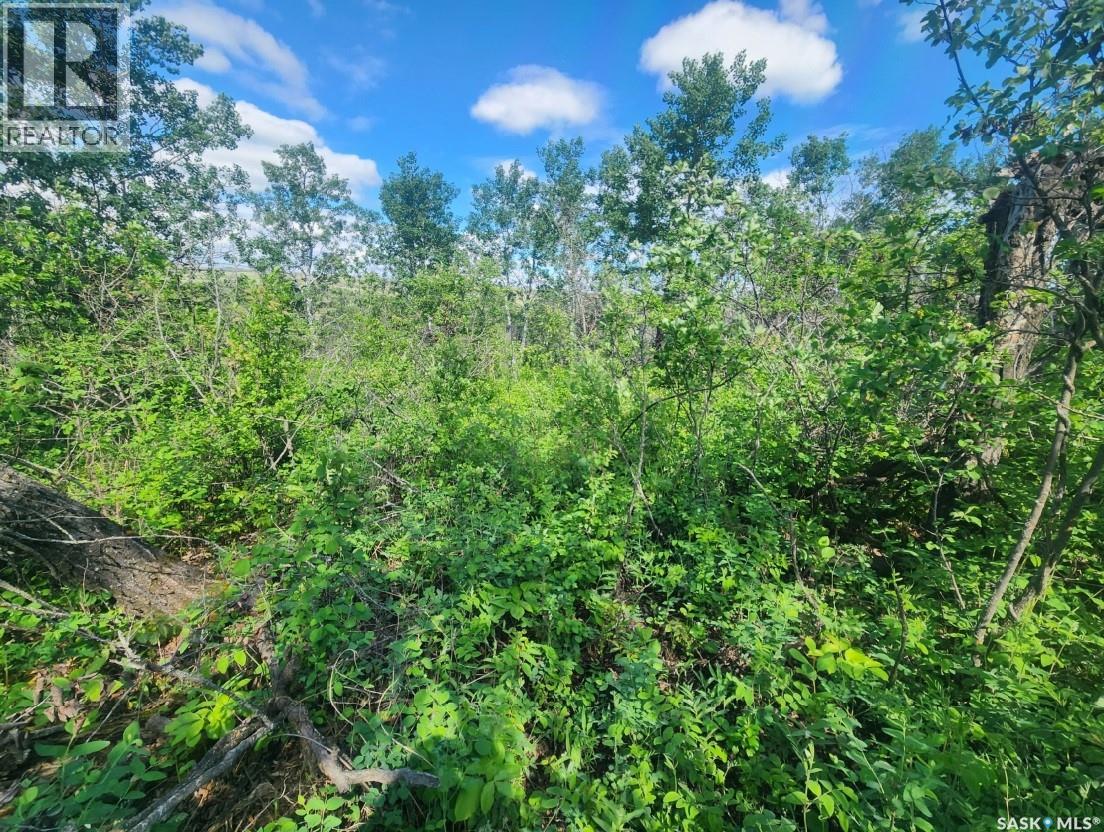 480 - 482 Saskatchewan Road, Laird Rm No. 404, Saskatchewan  S0K 2L0 - Photo 20 - SK038123