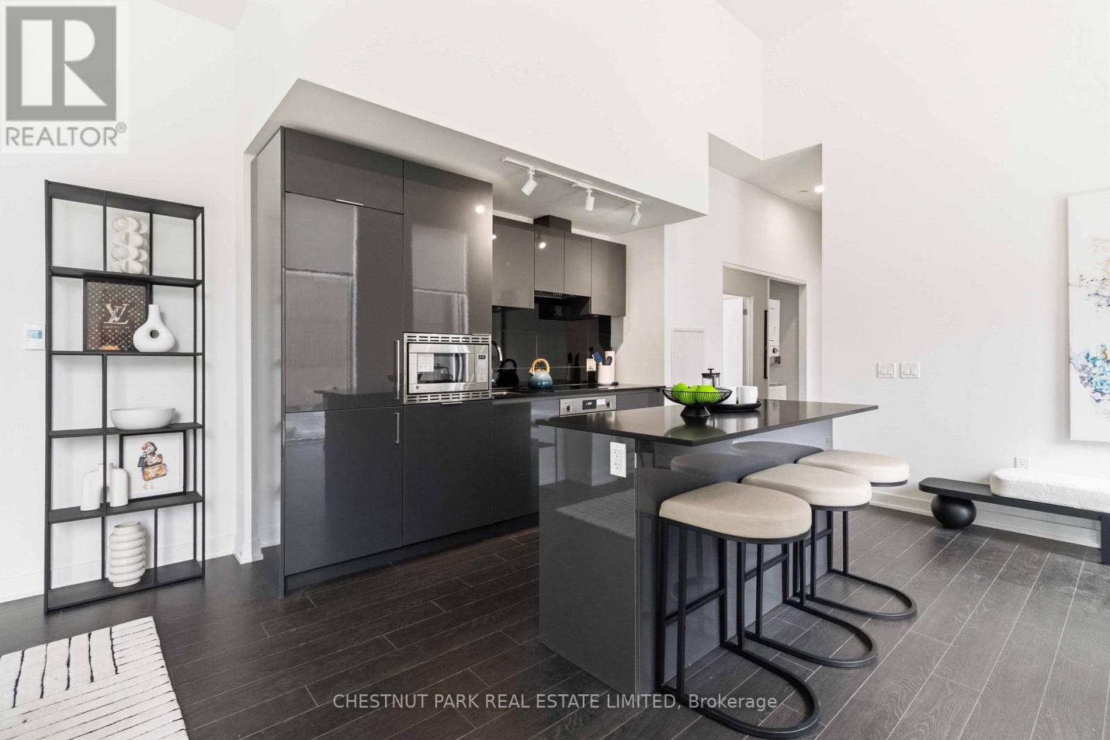 201 - 121 St Patrick Street, Toronto, Ontario M5T 3C1 - Photo 10 - C13651330