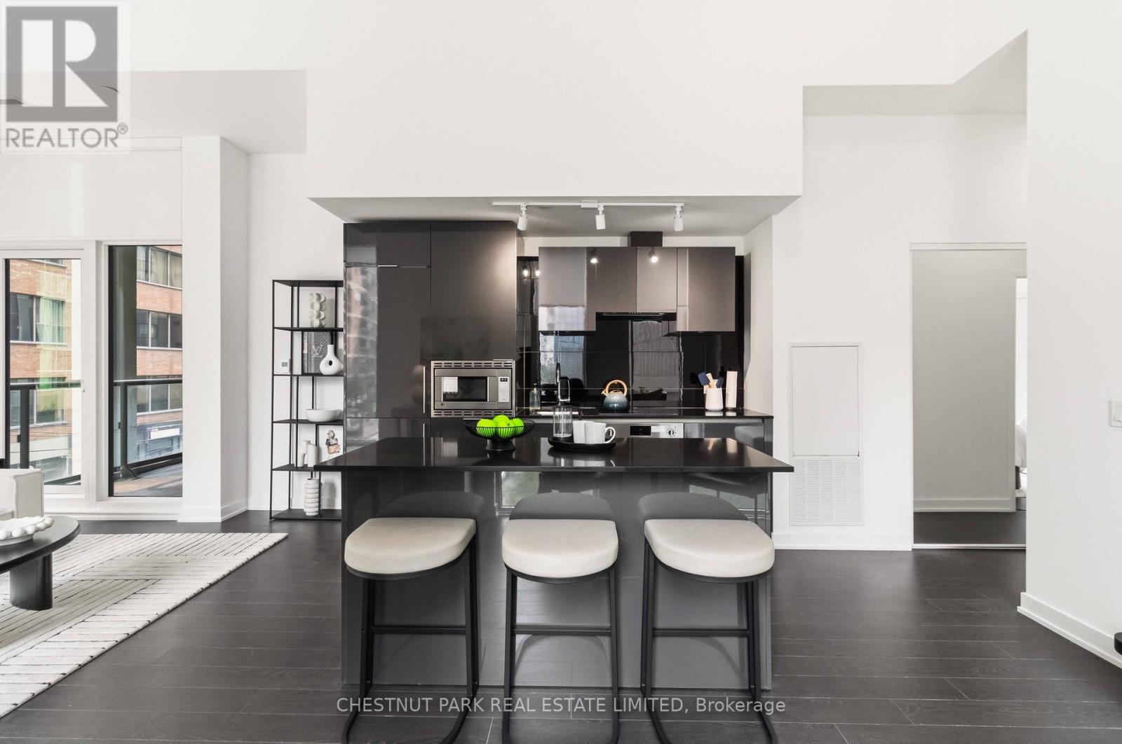 201 - 121 St Patrick Street, Toronto, Ontario M5T 3C1 - Photo 9 - C13651330