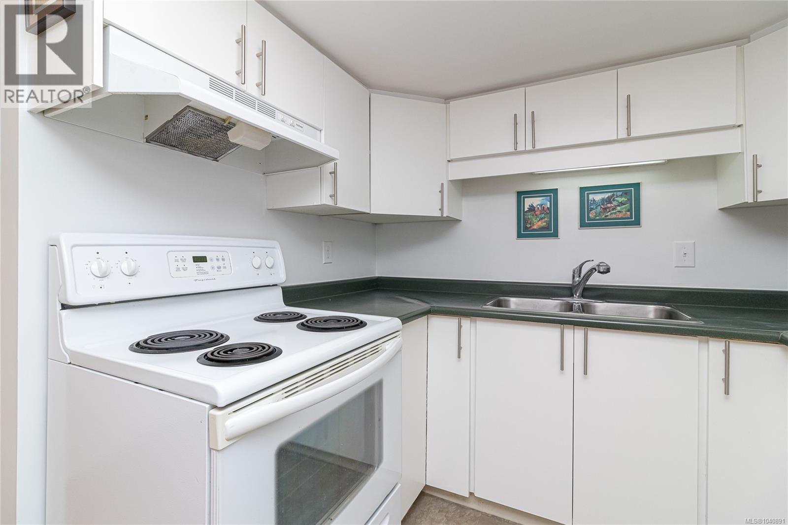 367 Vincent Ave, Saanich, British Columbia  V9A 2G8 - Photo 37 - 1040891