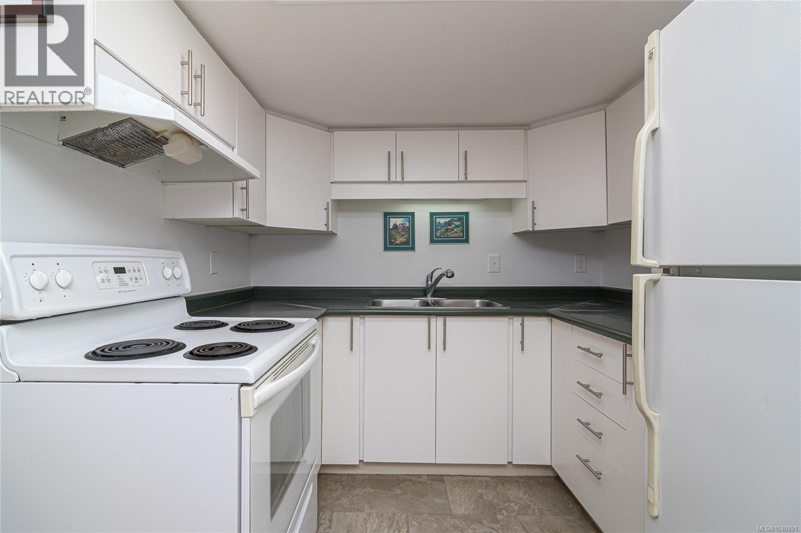 367 Vincent Ave, Saanich, British Columbia  V9A 2G8 - Photo 39 - 1040891