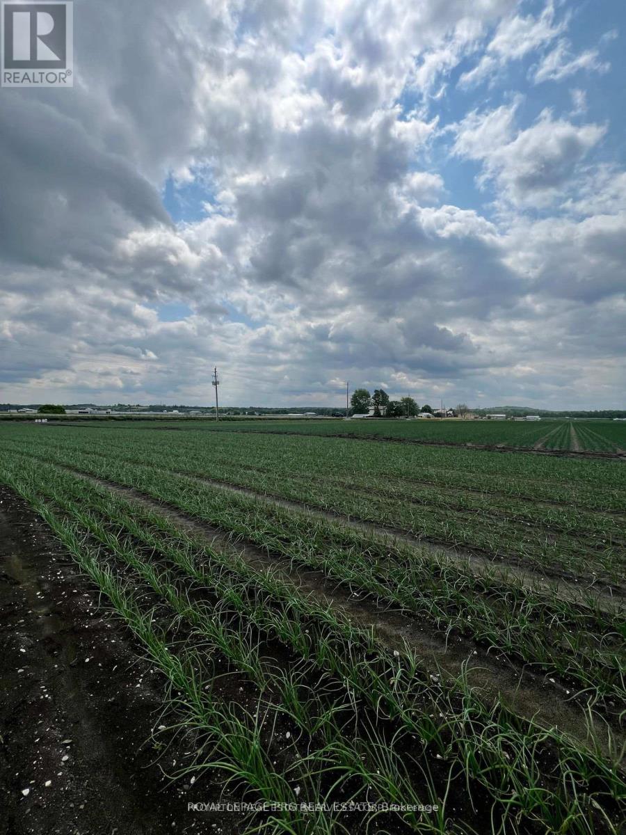 1160 River Rd Road, Bradford West Gwillimbury, Ontario  L3Z 4A3 - Photo 9 - N13151736