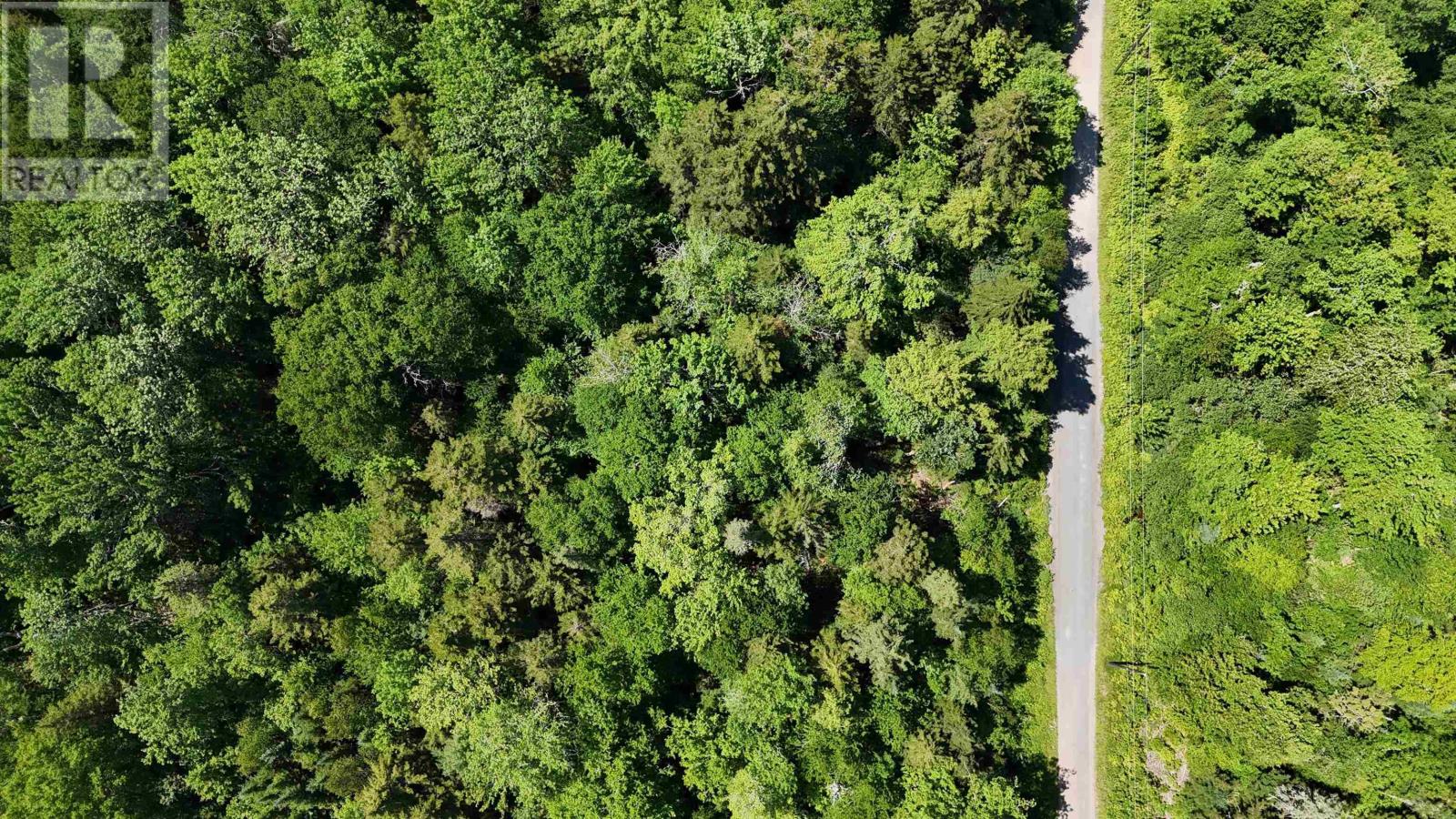 Lot 16 Birch Trail, Forties, Nova Scotia  B0J 2M0 - Photo 7 - 202603478