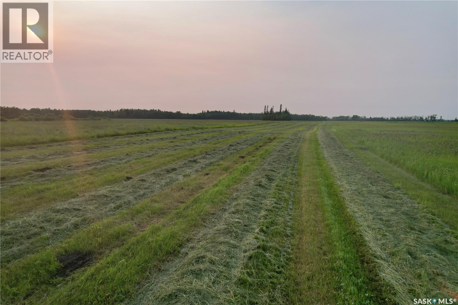 Kohlman Ranch Near Big River, Sk, Canwood Rm No. 494, Saskatchewan  S0J 0E0 - Photo 11 - SK044905