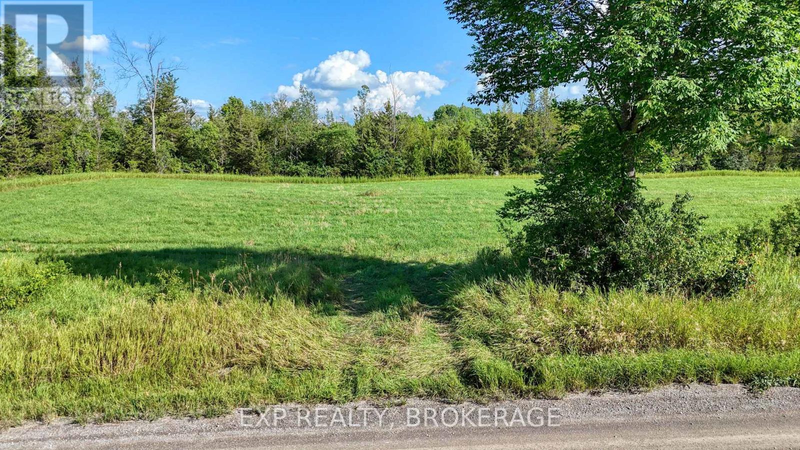 Pt Lt 3 Con 10 Dafoe Street, Greater Napanee, Ontario  K0K 2W0 - Photo 14 - X13651498