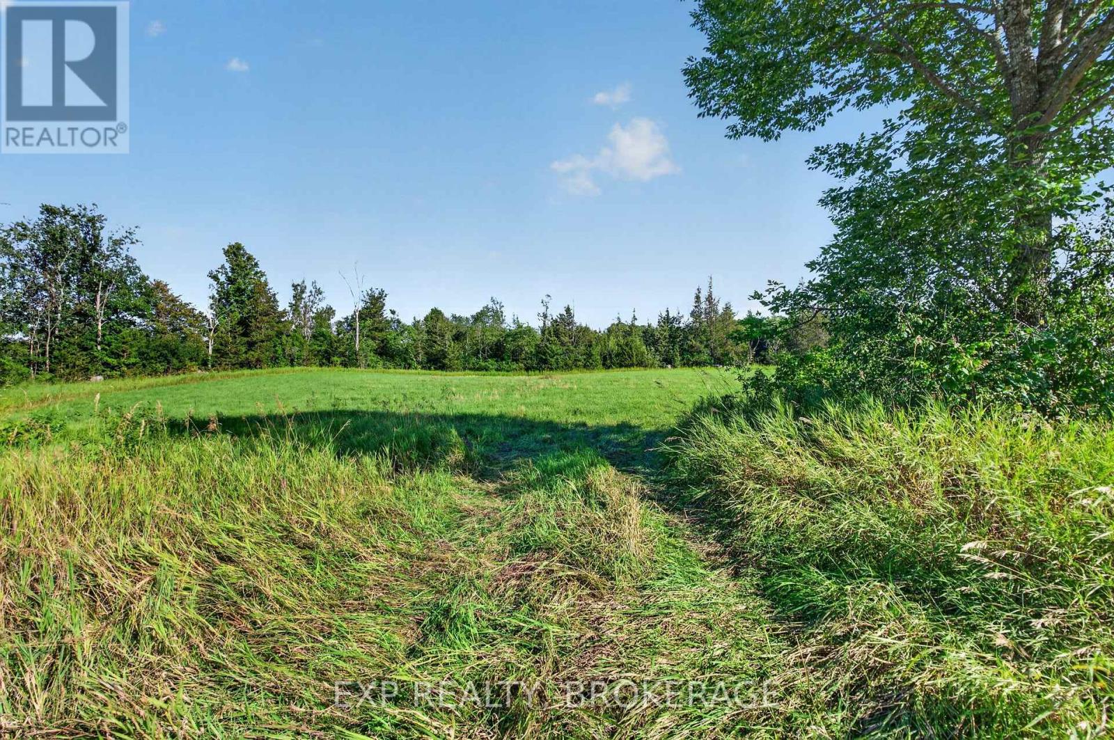 Pt Lt 3 Con 10 Dafoe Street, Greater Napanee, Ontario  K0K 2W0 - Photo 16 - X13651498