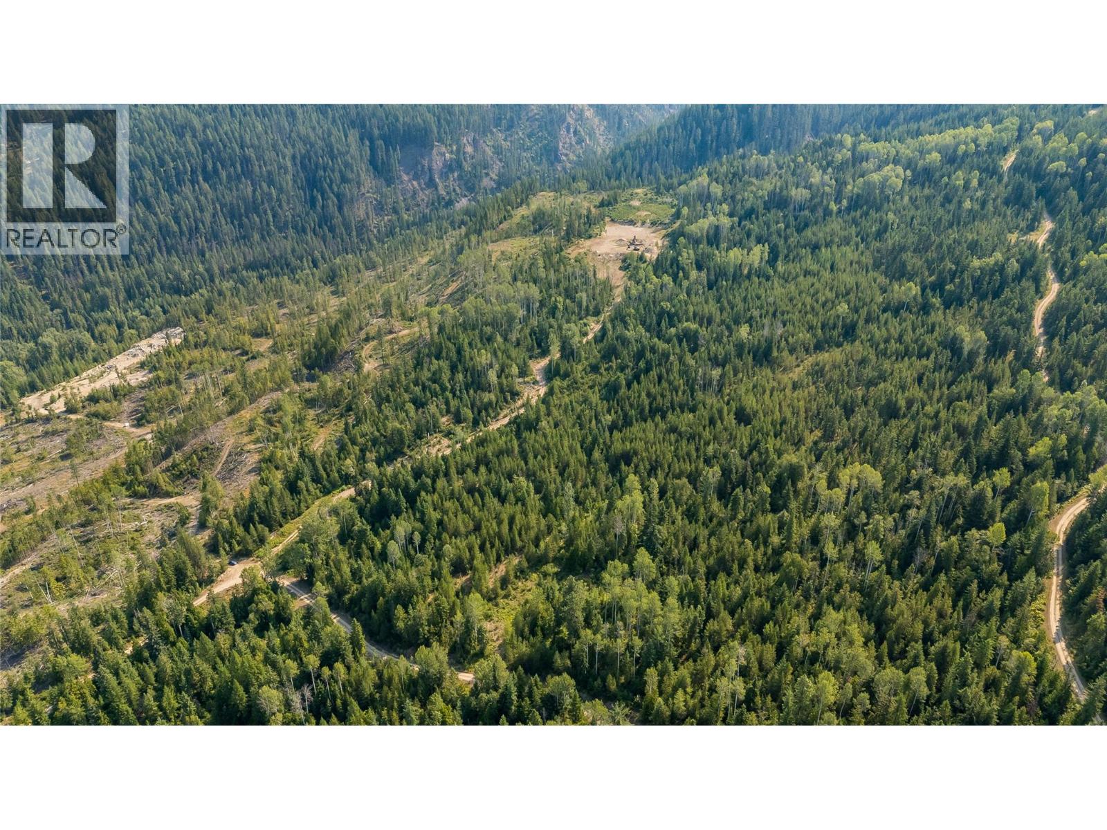 Lot 1 Elliot Forest Service Road, Lemon Creek, British Columbia  V0G 2C0 - Photo 10 - 10396677